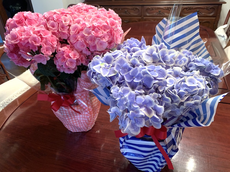 母の日のプレゼント 谷沢楽花園