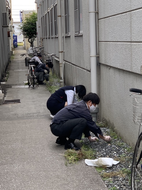文化社会社周辺一斉清掃